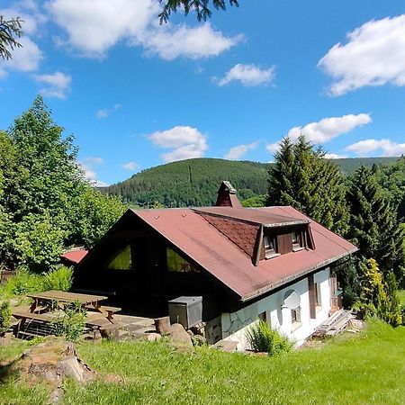 Vacation Home Am Hermannsberg, Oberschoenau Oberschonau Buitenkant foto