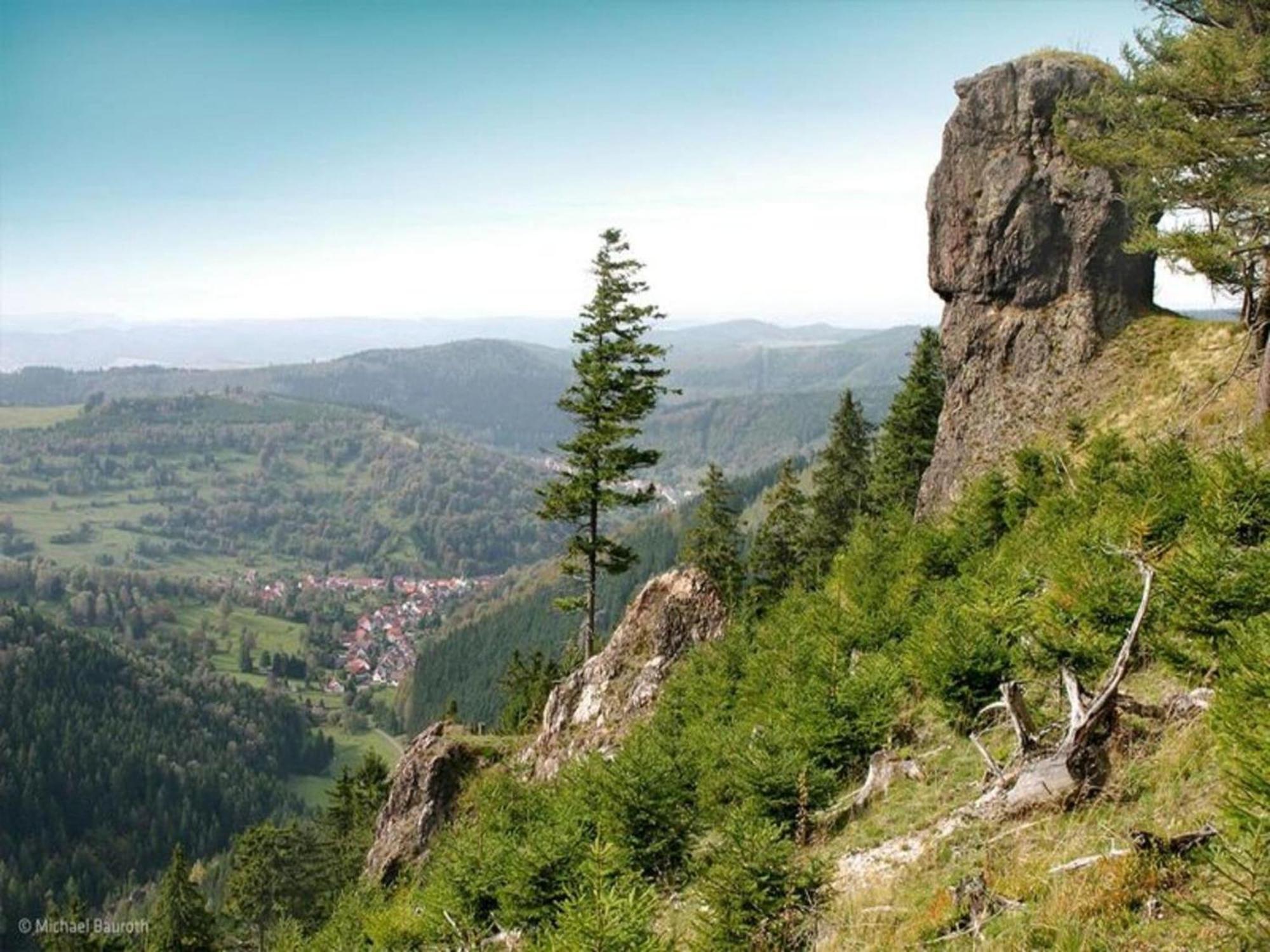 Vacation Home Am Hermannsberg, Oberschoenau Oberschonau Buitenkant foto